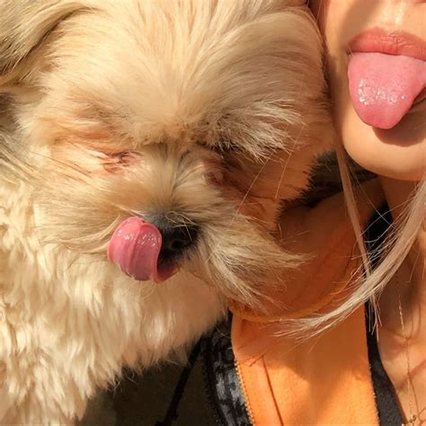 instagram girl dog tongue.